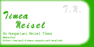 timea meisel business card